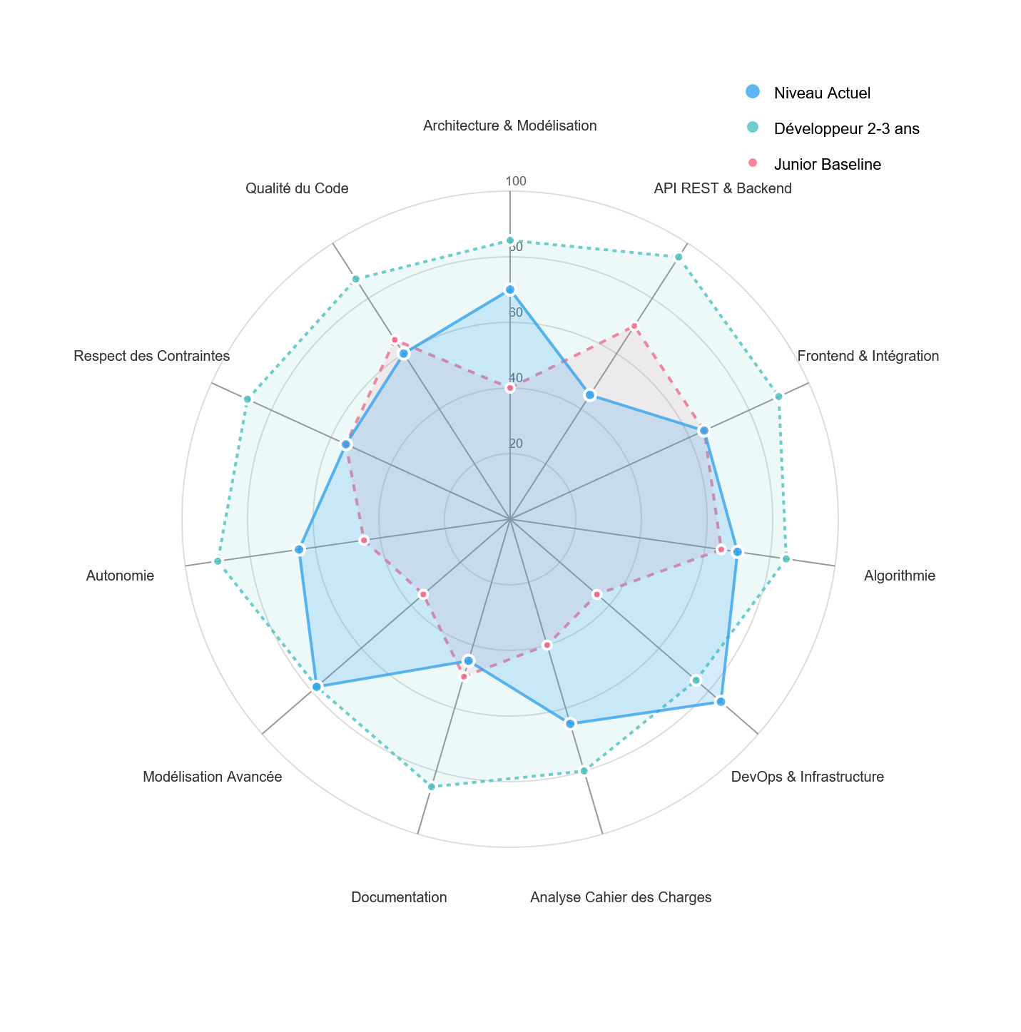 Radar Chart des Compétences